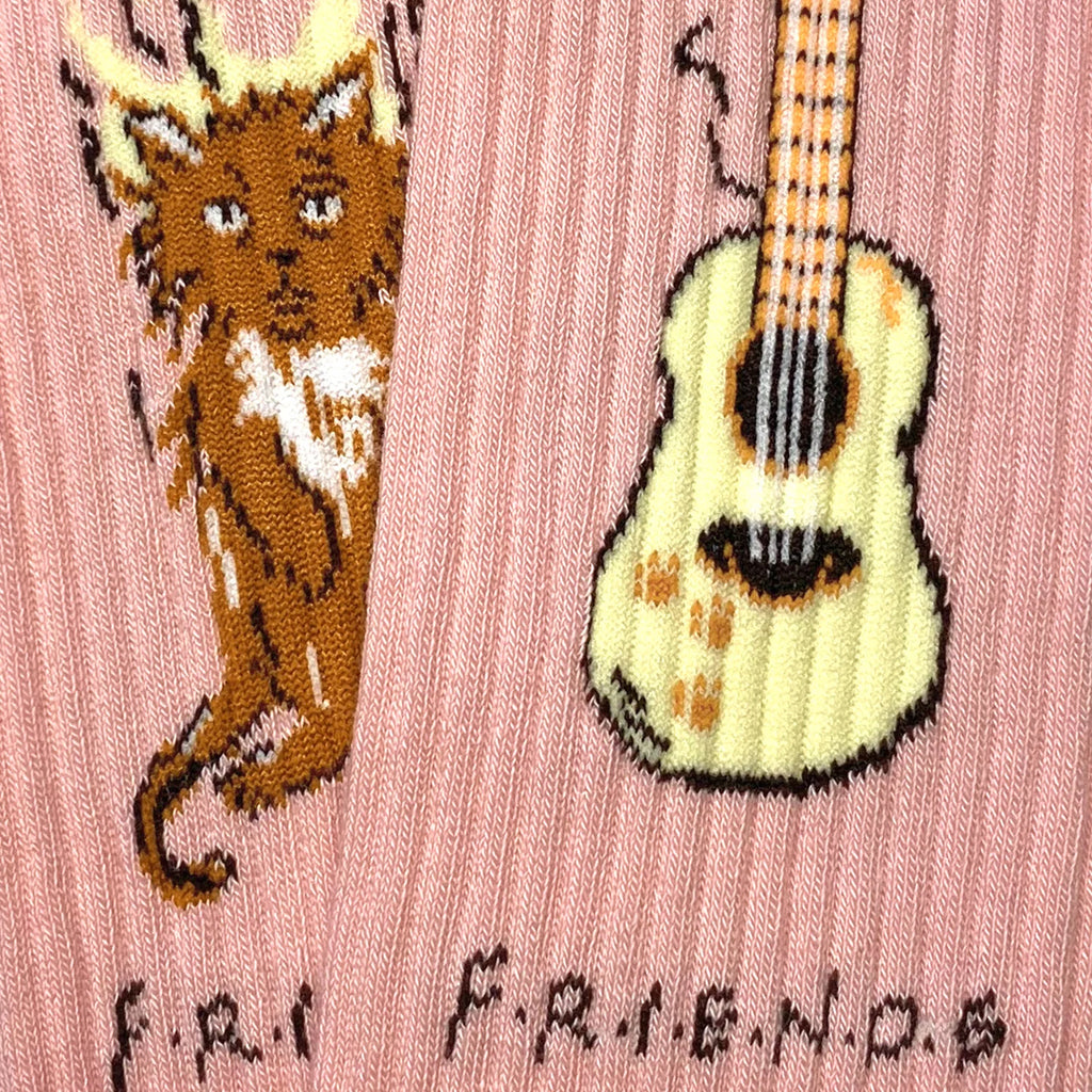 Calzini Athletics Friends "Smelly cat"