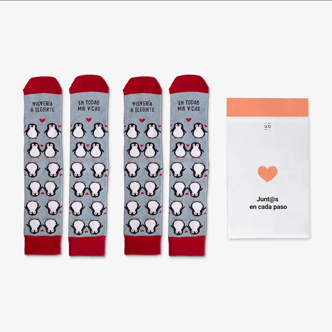 SAN VALENTINO ♡ KIT Pinguini