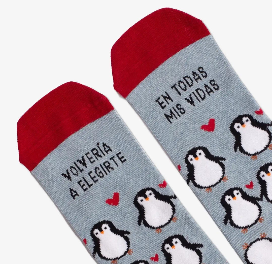 SAN VALENTINO ♡ KIT Pinguini