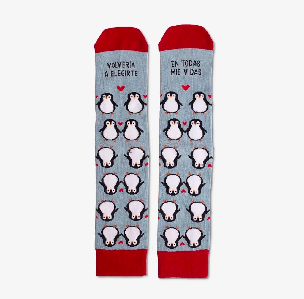 SAN VALENTINO ♡ KIT Pinguini